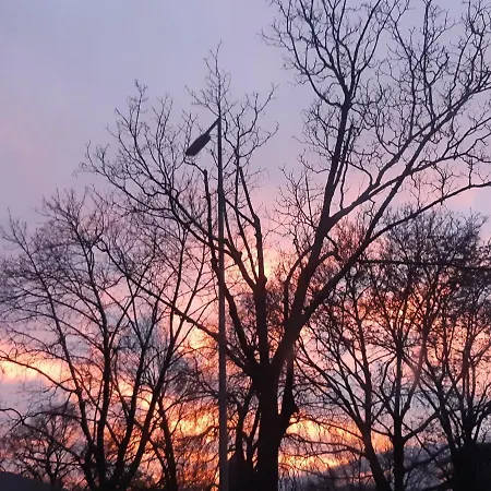 Waldstadt-zentrum Karlsruhe